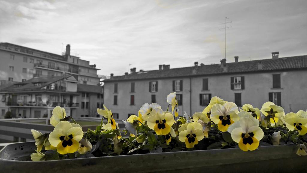 Hotel Airport Station Bergamo Esterno foto